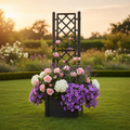 Schwarzer Pflanzkasten mit Rankgitter im Garten, bepflanzt mit rosa Rosen, weißen Hortensien und violetten Petunien, stilvolle Gartendekoration bei Sonnenuntergang
