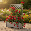 Blumentopf Stefanplast Italia Grau Kunststoff rechteckig 100 x 43 x 142 cm