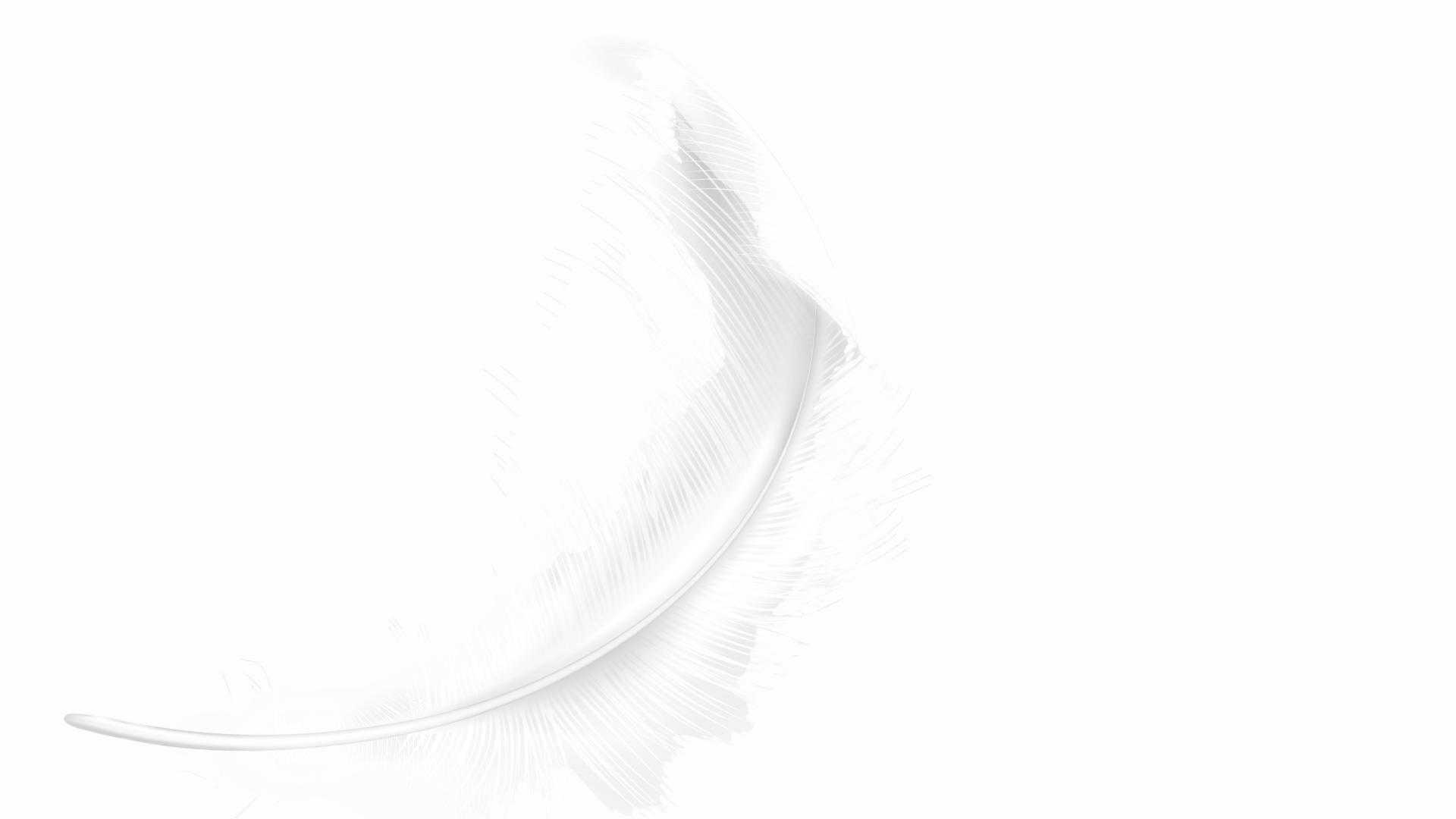     Weiße Feder als Symbol für Leichtigkeit, Eleganz und modernes Wohndesign