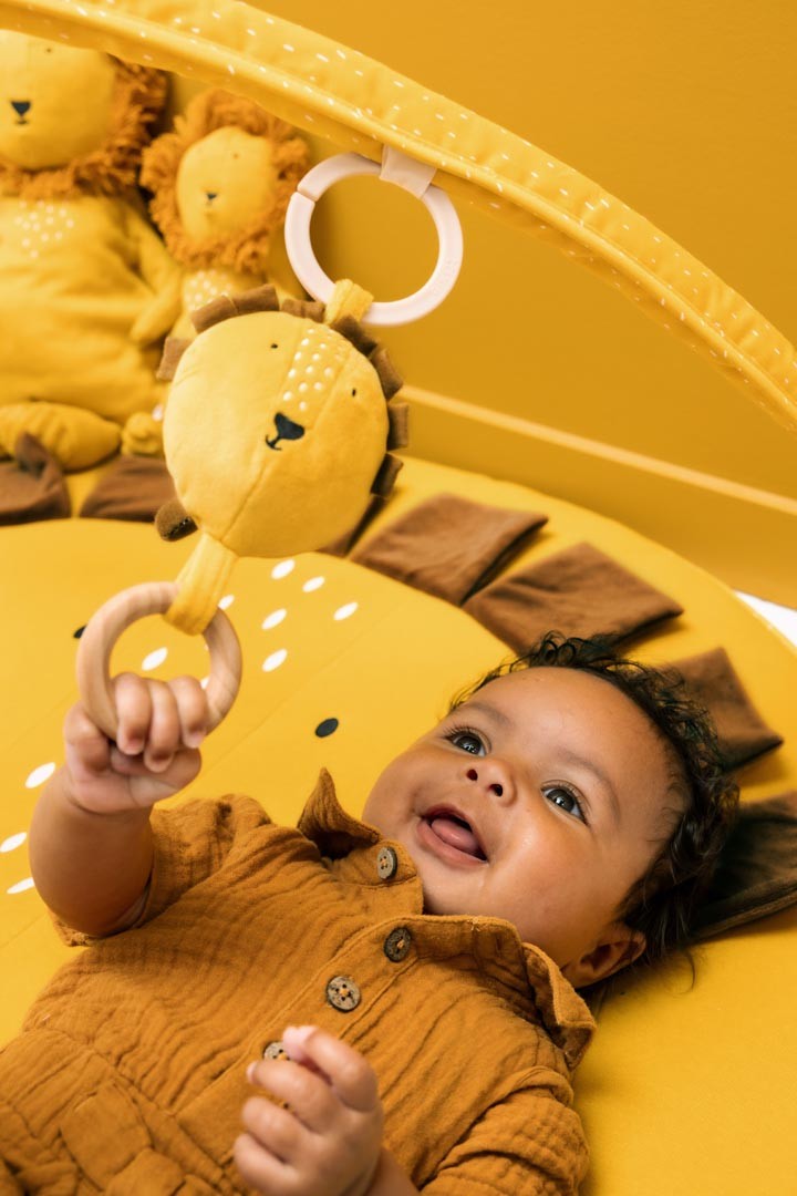 Trixie Baby-Spielmatte mit Spielbögen – Mr. Lion – weitere Ansicht