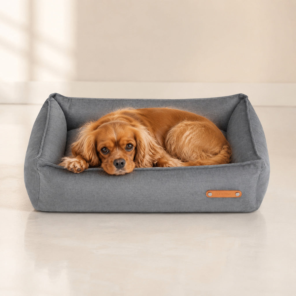 Bosca Hundebett Grau mit Spaniel – Premium Produktfoto 2048x2048
