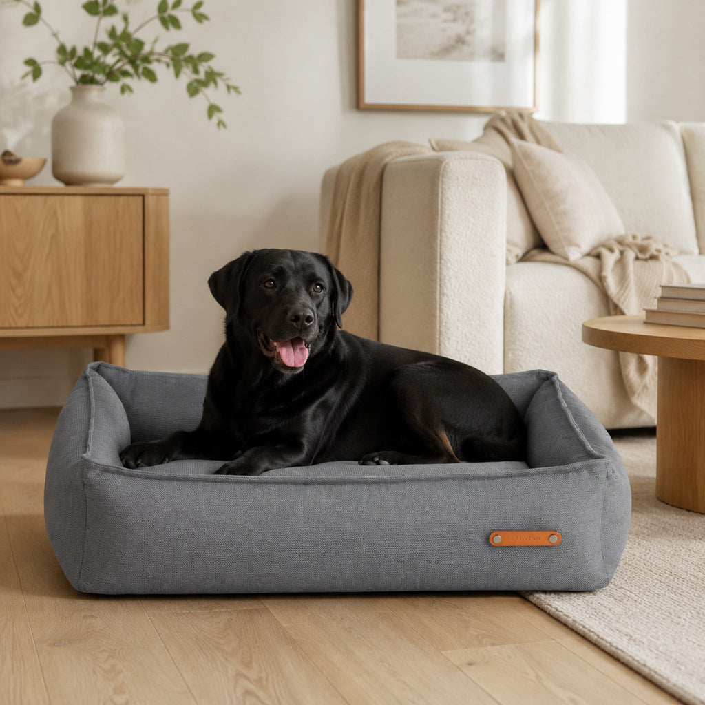 Bosca Hundebett Grau mit Labrador im stilvollen Wohnzimmer
