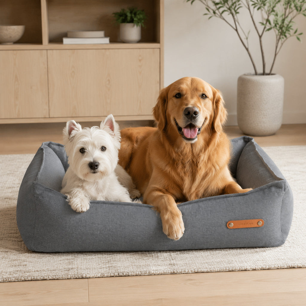 Bosca Hundebett Grau für zwei Haustiere – moderne Wohnatmosphäre