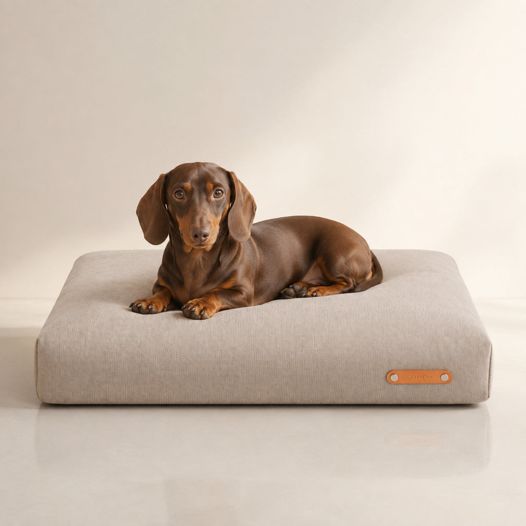 Bosca Hundekissen Beige mit Dackel – Premium Produktfoto 2048x2048