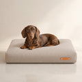 Bosca Hundekissen Beige mit Dackel – Premium Produktfoto 2048x2048