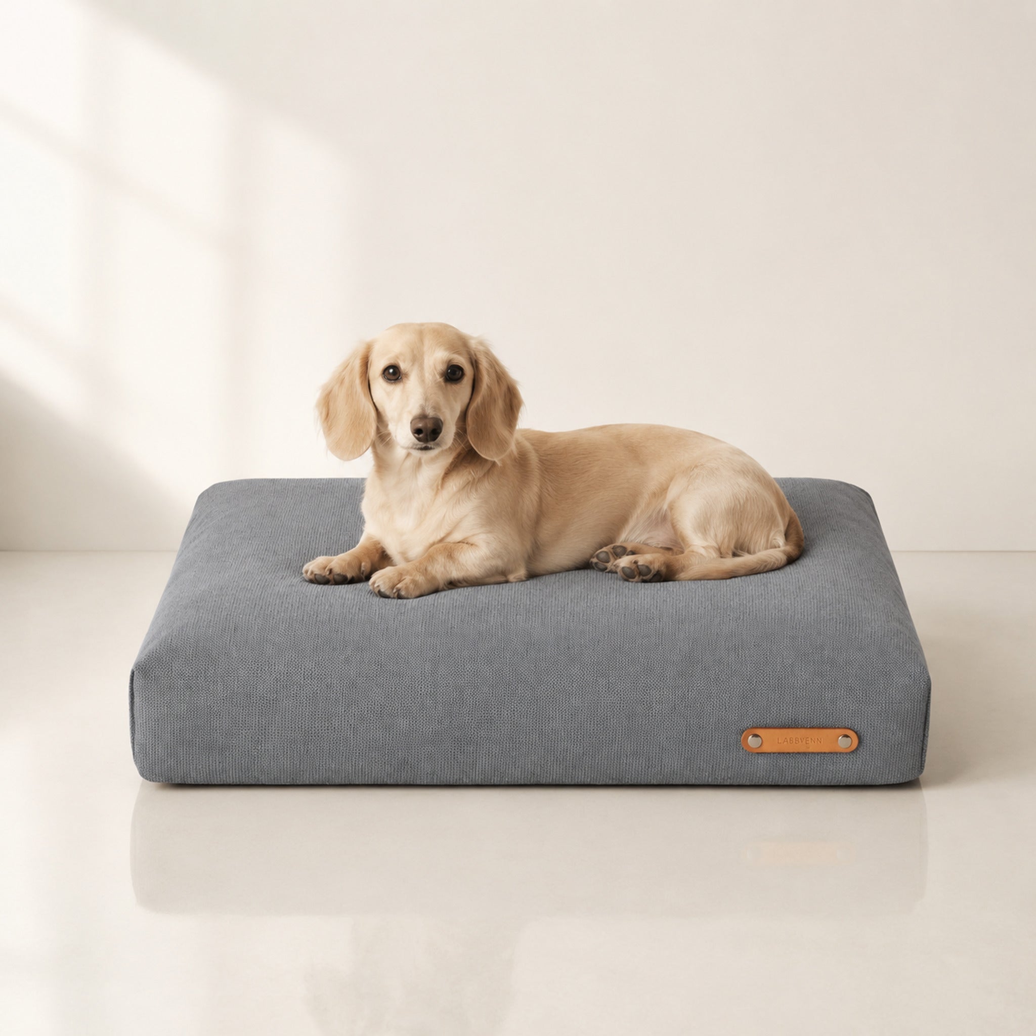 Bosca Hundekissen Grau mit Dackel – Premium Produktfoto 2048x2048