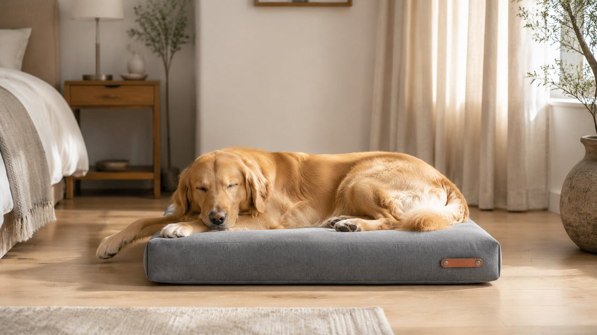 Bosca Hundekissen Grau im hellen Premium Interieur – 16:9