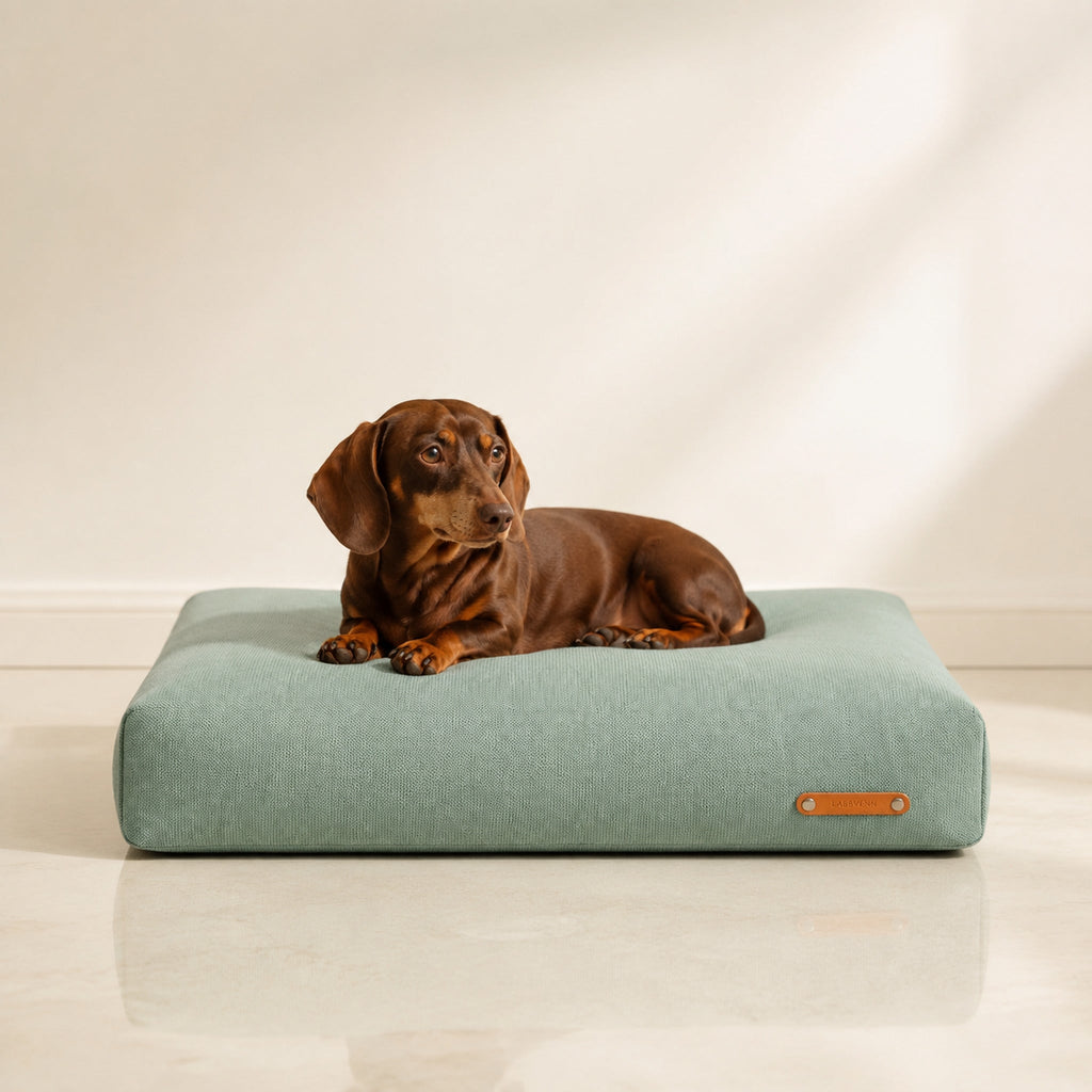 Bosca Hundekissen Sanftes Petrol mit Dackel – Premium Produktfoto