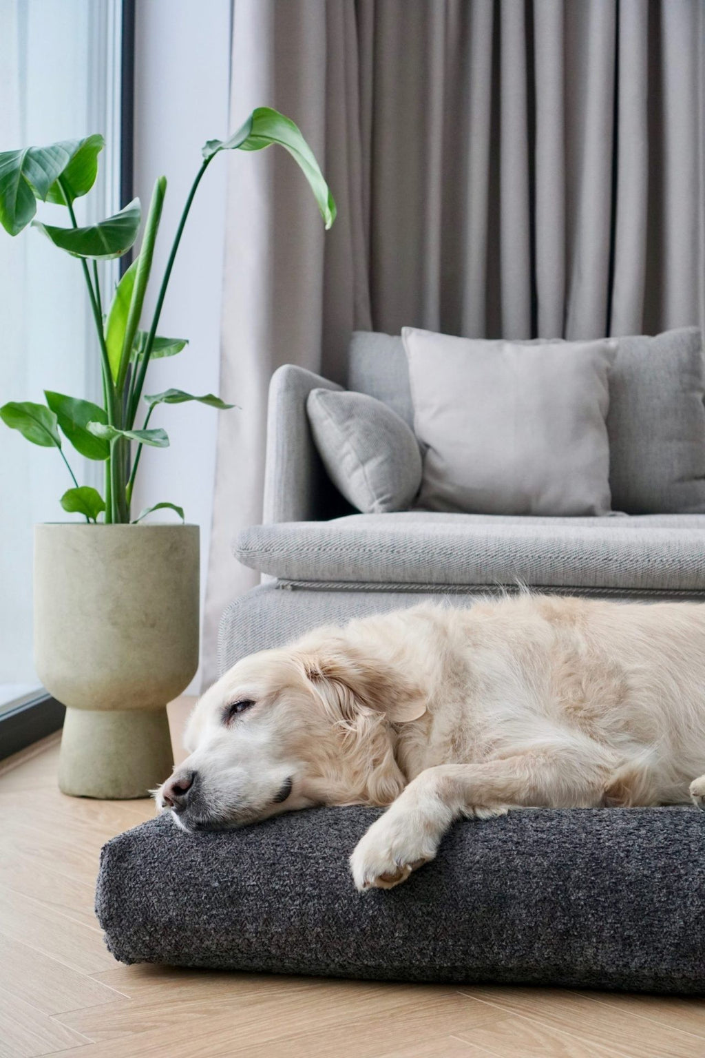 Buklaa Hundekissen in Anthrazit – Detailansicht