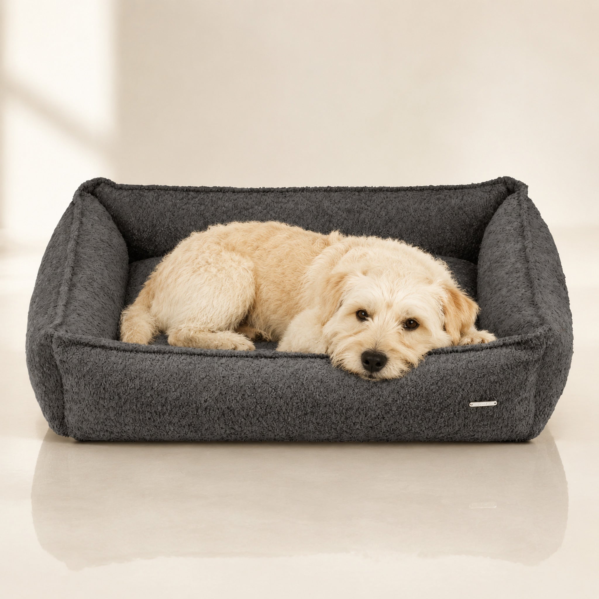 Buklaa Bouclé Hundebett Anthrazit mit Terrier – Premium Produktfoto 2048x2048