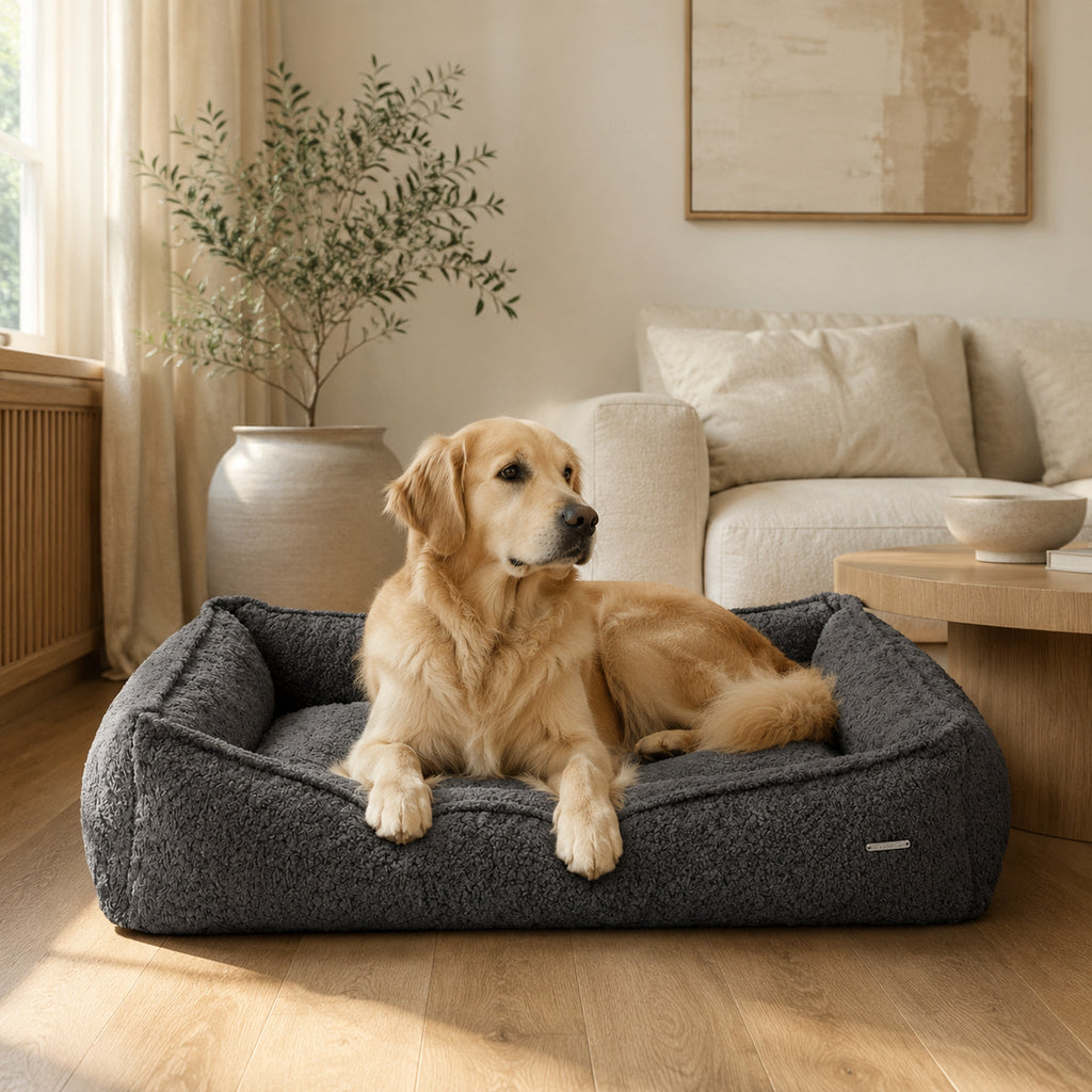 Buklaa Bouclé Hundebett Anthrazit mit Golden Retriever im stilvollen Wohnzimmer