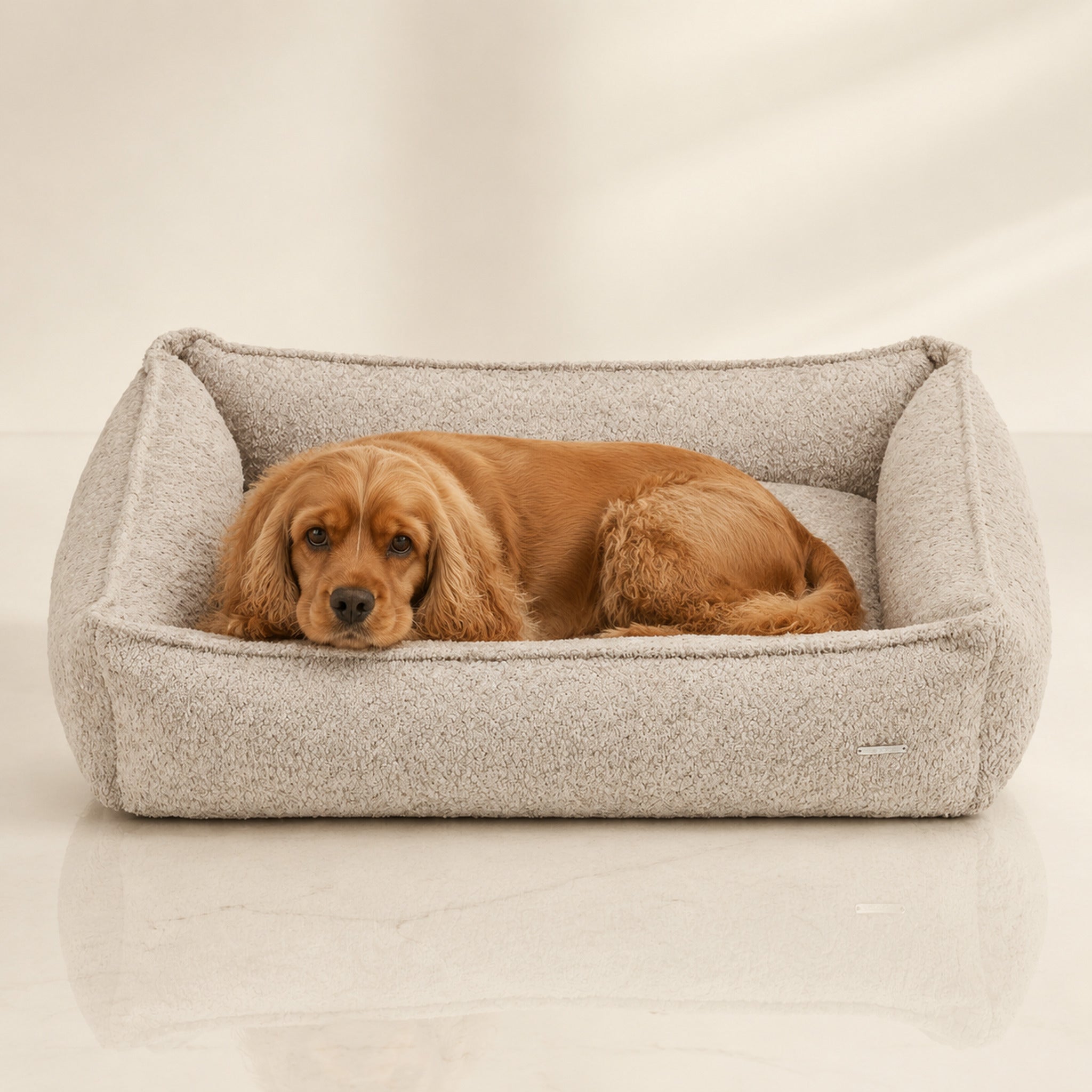 Buklaa Bouclé Hundebett Hellbeige mit Spaniel – Premium Produktfoto 2048x2048
