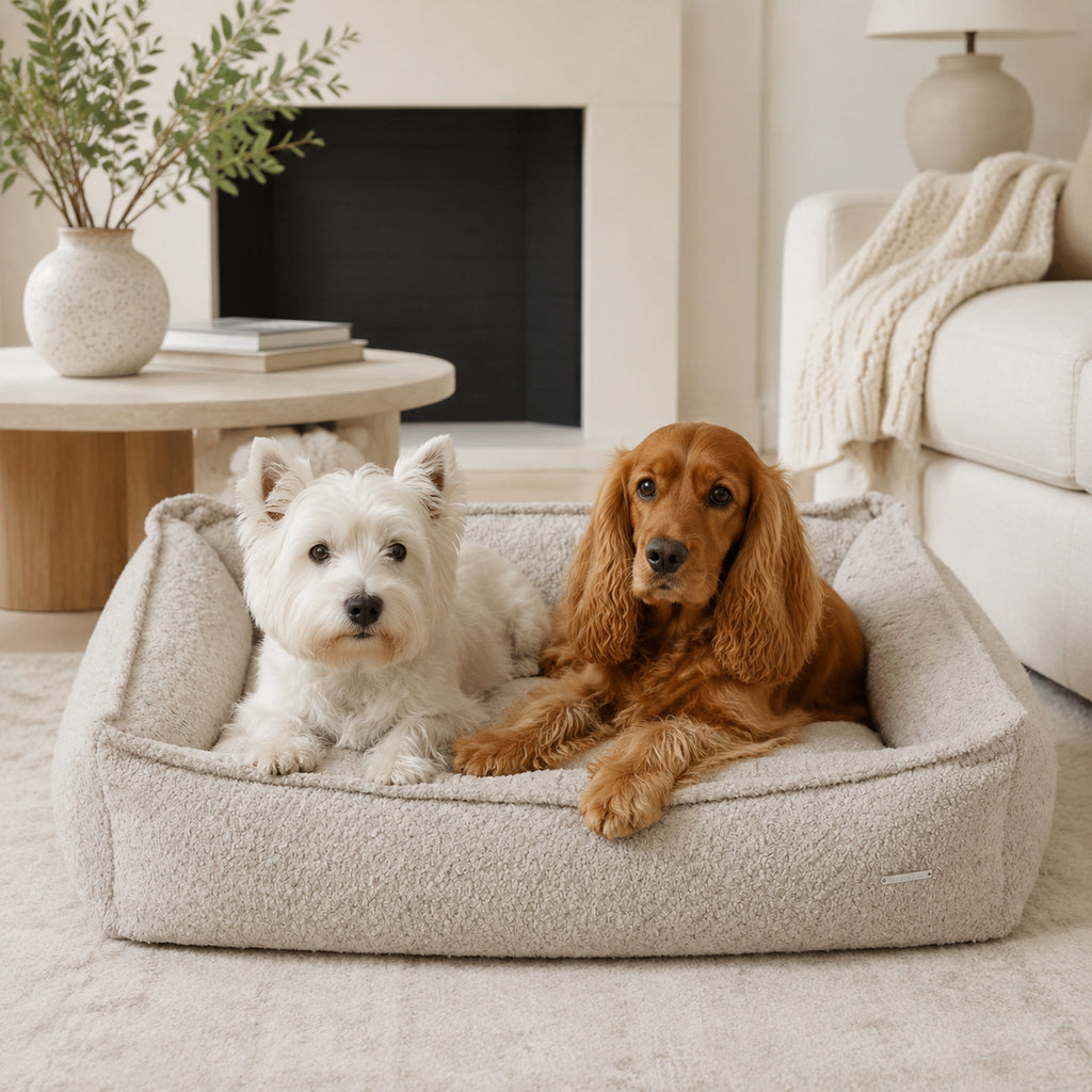 Buklaa Bouclé Hundebett Hellbeige für zwei Hunde – hochwertige Lifestyle Aufnahme