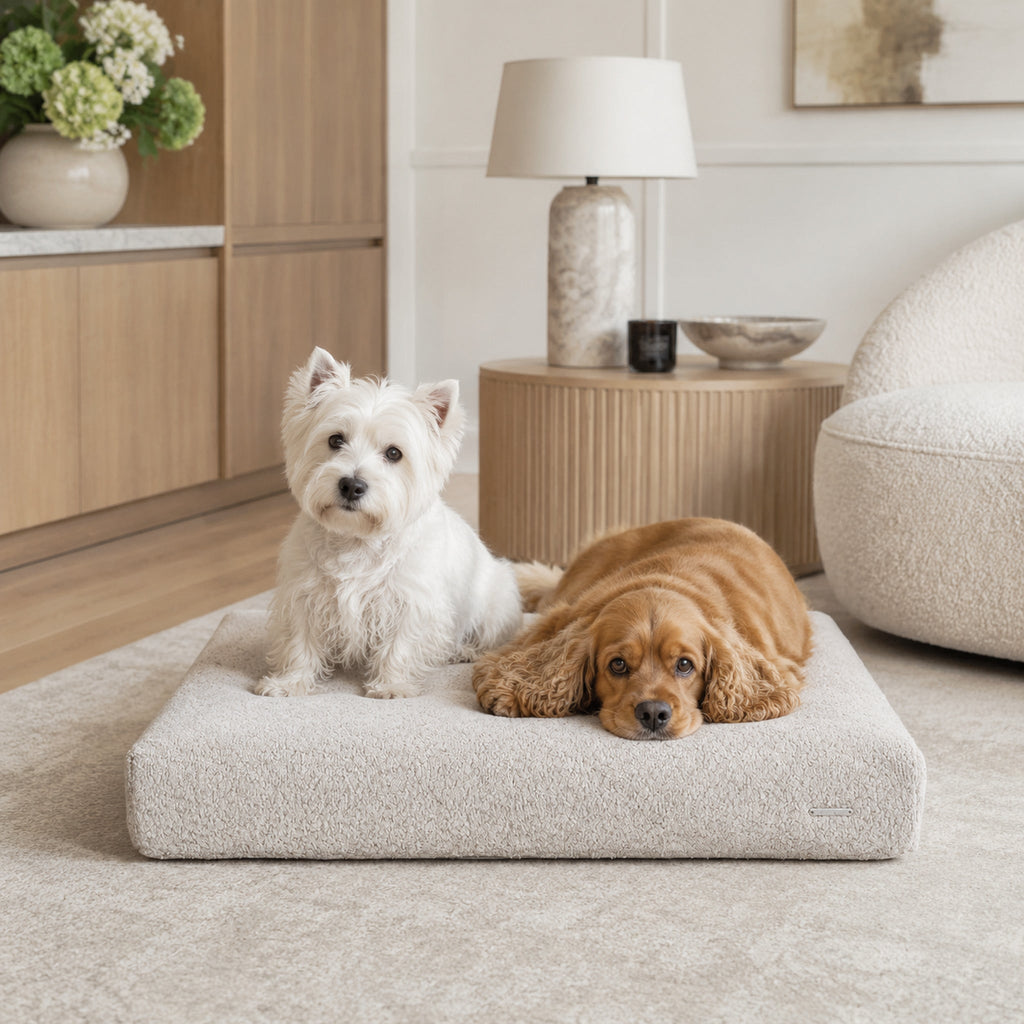 Buklaa Hundekissen Hellbeige für zwei Hunde – hochwertige Lifestyle Aufnahme