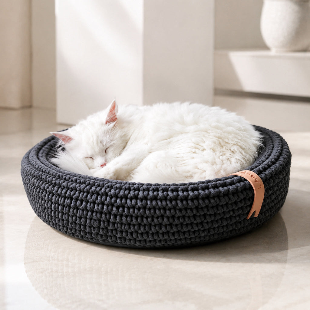 Coco Tierbett in Anthrazit mit weißer Katze im hellen Premium-Studio