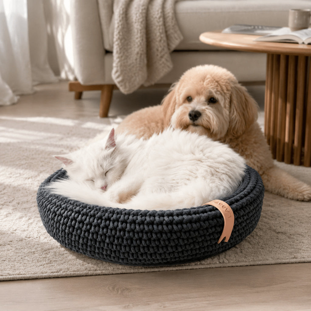 Coco Tierbett Anthrazit mit Hund und Katze in stilvoller Wohnatmosphäre