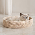 Coco Tierbett in Beige mit Britisch Kurzhaar im hellen Premium-Studio