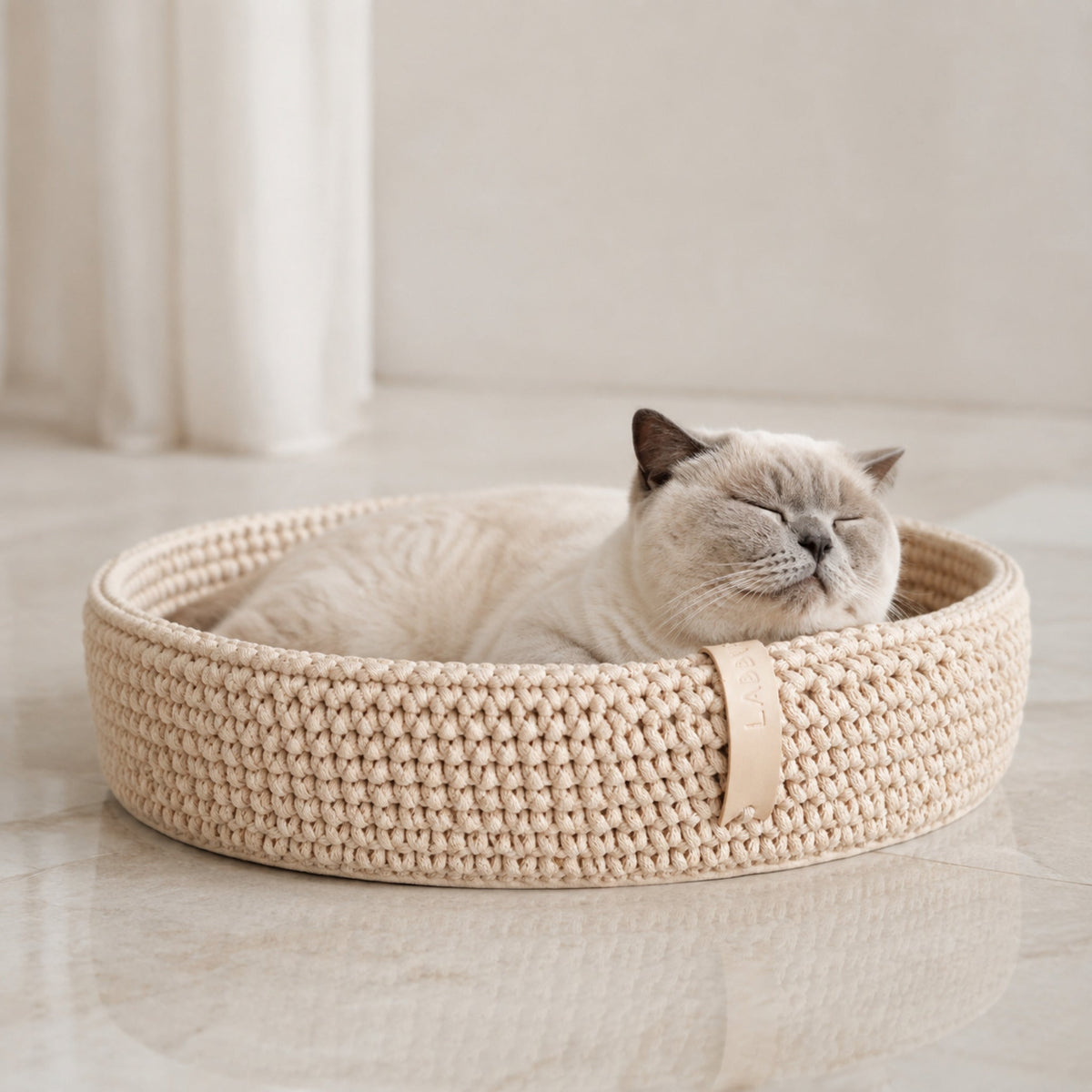 Coco Tierbett in Beige mit Britisch Kurzhaar im hellen Premium-Studio