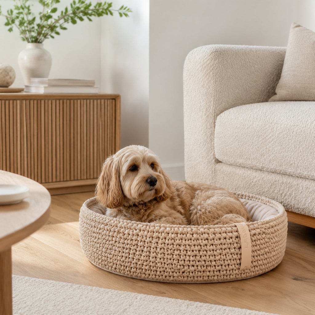 Beiges Coco Tierbett mit kleinem Hund im modernen Wohnzimmer