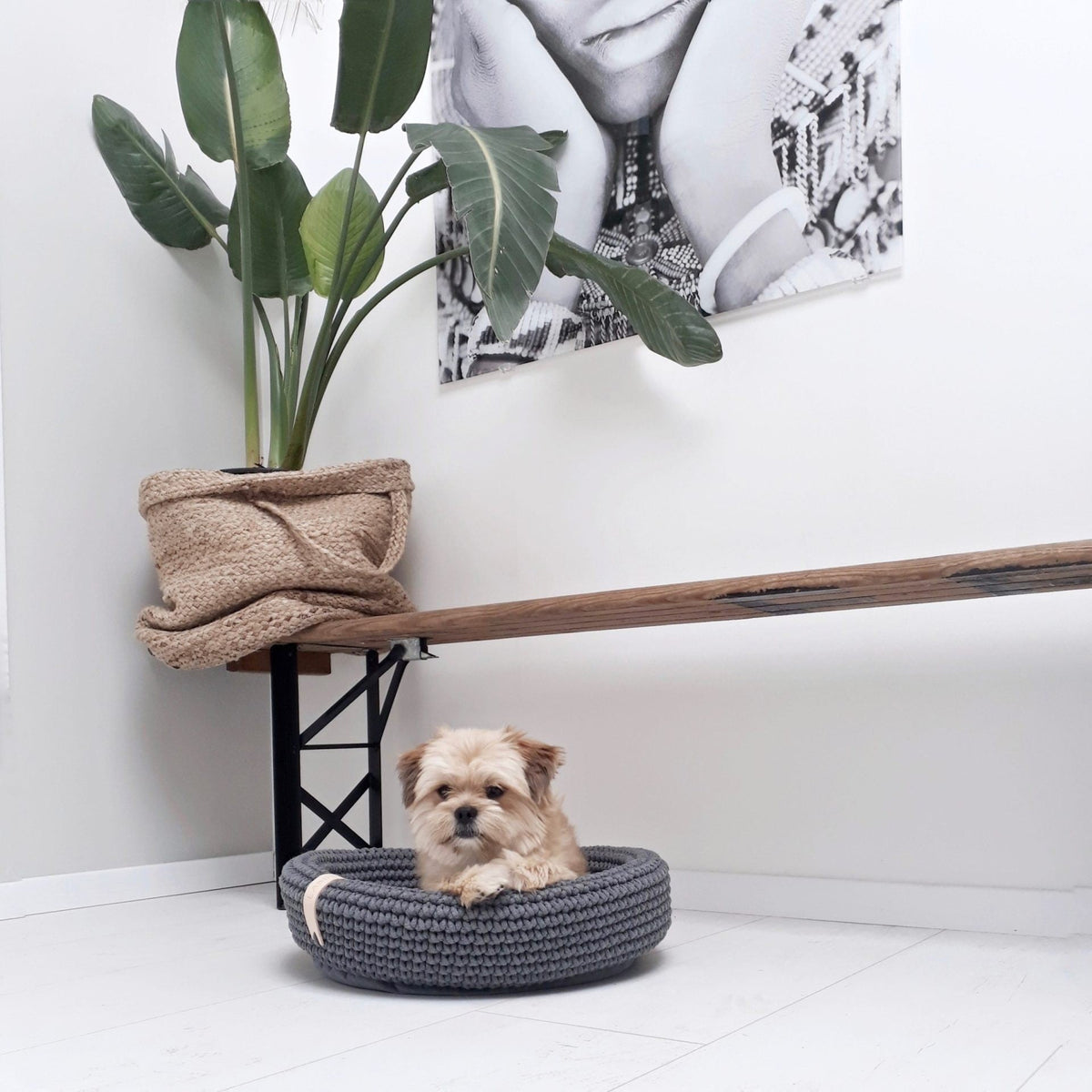 Coco Tierbett für Hund und Katze in Anthrazit – Ansicht 2