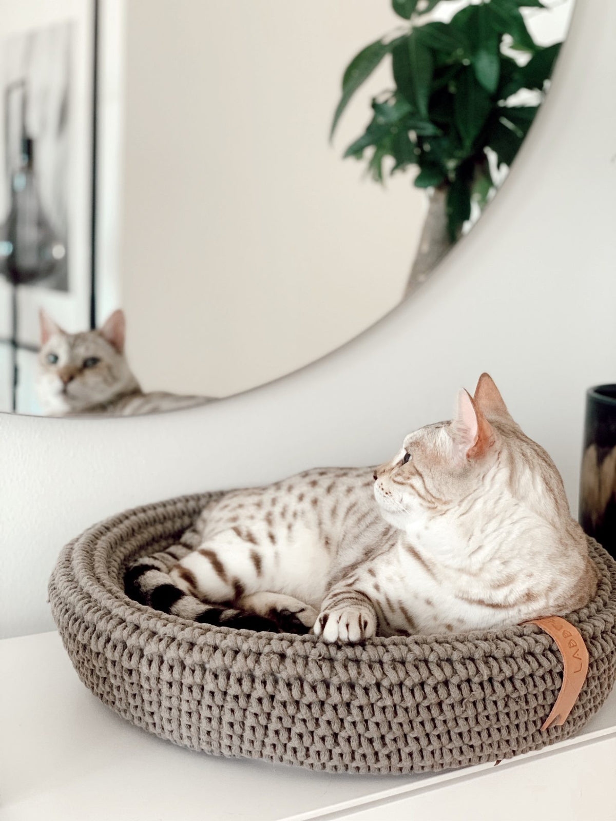 Coco Tierbett für Hund und Katze in Hellbraun – Ansicht 3