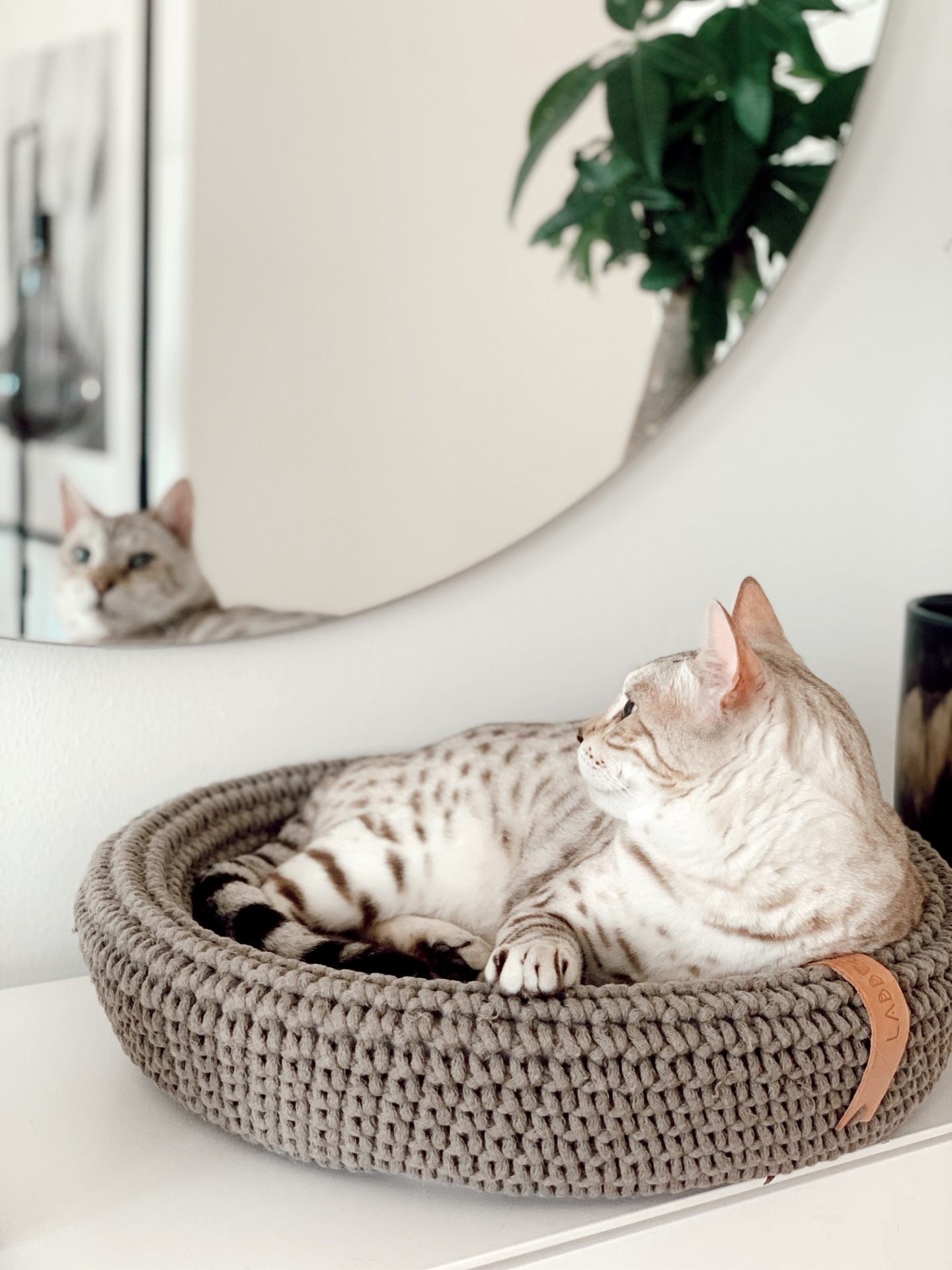 Originalbild Coco Tierbett für Hund & Katze Hellbraun – Ansicht 3