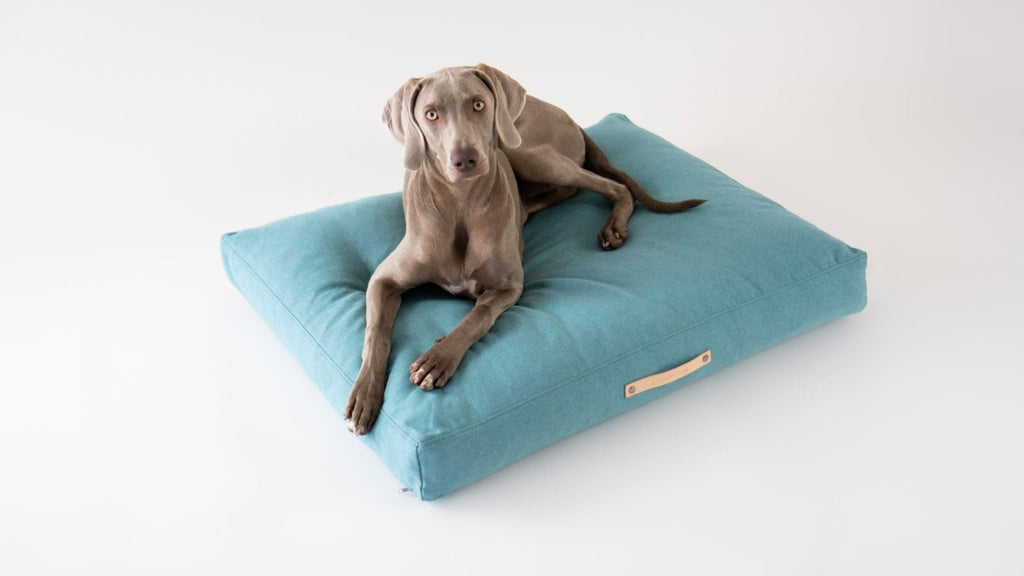 Copenhagen Hundekissen – Azurblau – Ansicht 2