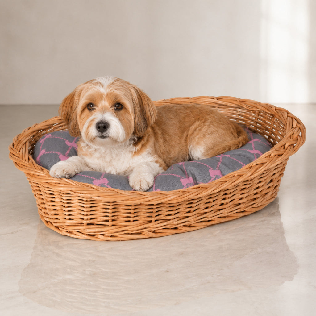 Enovia Hundebett aus Naturweide mit grau-rosa Kissen – 65 × 46 cm – Premium Studioaufnahme auf reflektierendem Boden