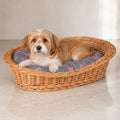 Enovia Hundebett aus Naturweide mit grau-rosa Kissen – 65 × 46 cm – Premium Studioaufnahme auf reflektierendem Boden