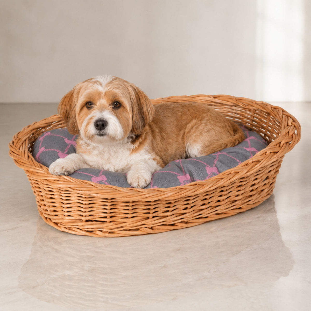 Enovia Hundebett aus Naturweide mit grau-rosa Kissen – 65 × 46 cm – Premium Studioaufnahme auf reflektierendem Boden