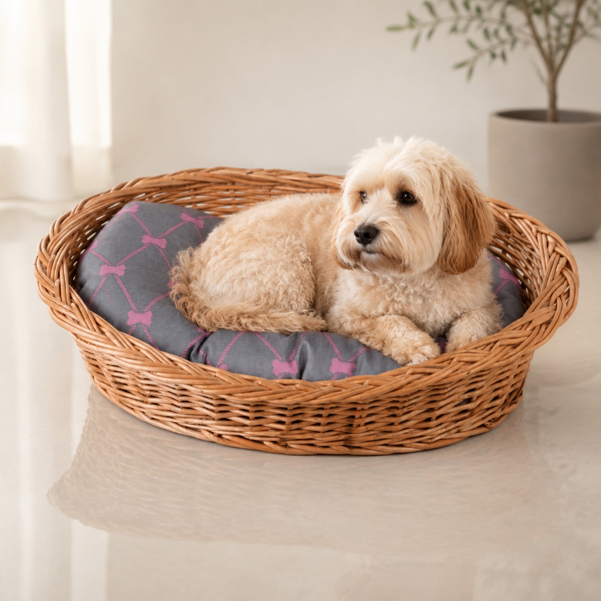 Enovia Hundebett aus Naturweide mit grau-rosa Kissen – 75 × 57 cm – Premium Studioaufnahme auf reflektierendem Boden