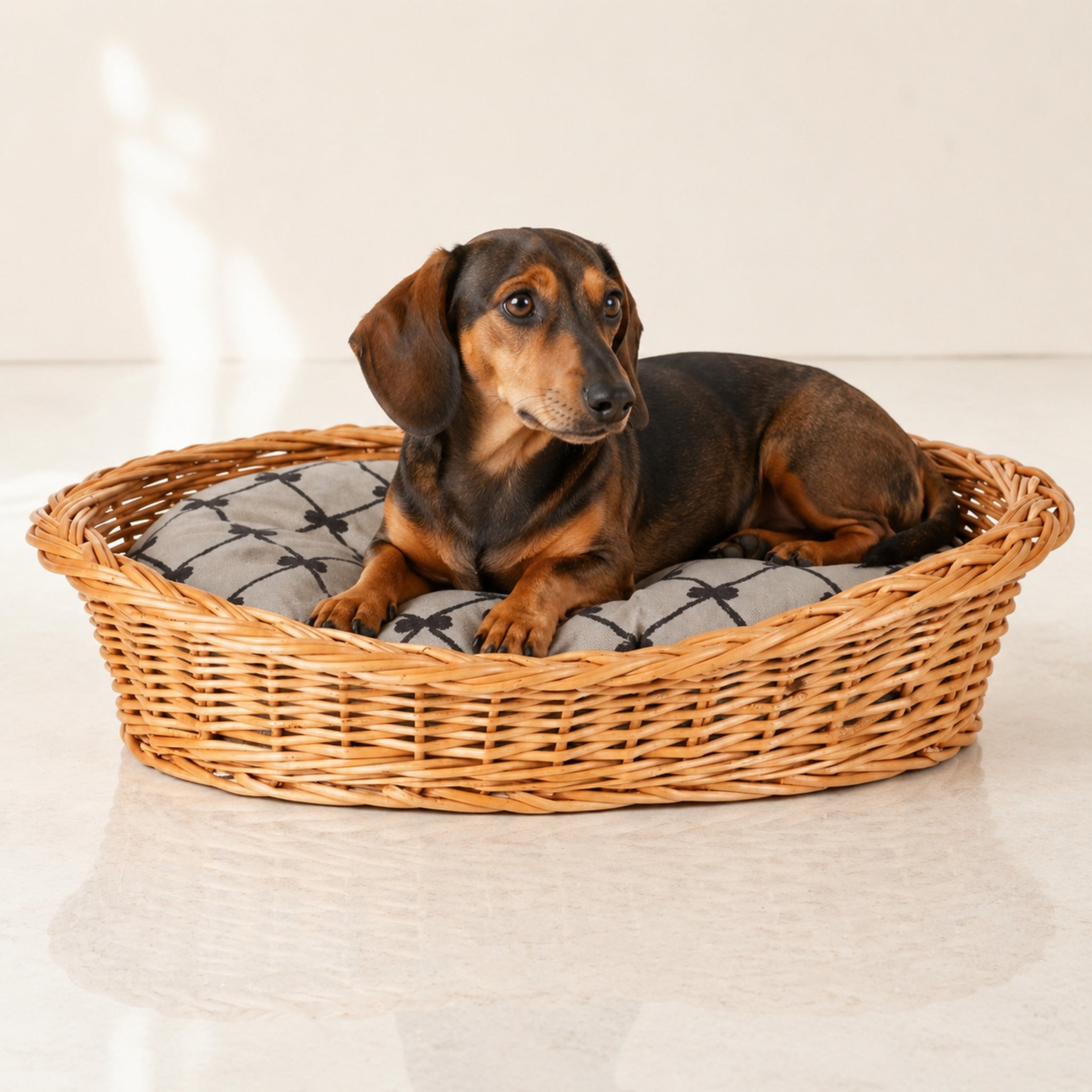 Enovia Hundebett aus Naturweide mit grauem Kissen – 60 × 43 cm – Premium Studioaufnahme auf reflektierendem Boden