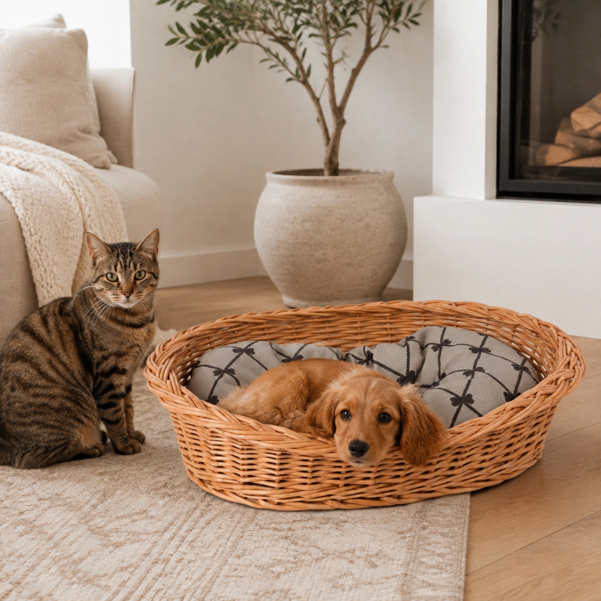 Enovia Hundebett aus Naturweide mit grauem Kissen – 65 × 46 cm – Stilvolle Wohnatmosphäre mit zwei Haustieren