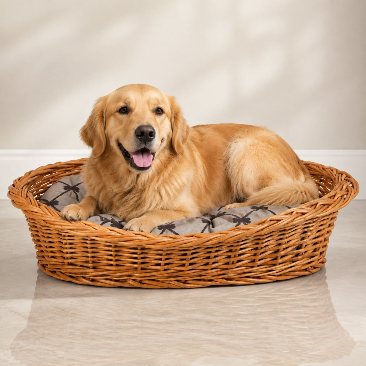 Enovia Hundebett aus Naturweide mit grauem Kissen – 70 × 54 cm – Premium Studioaufnahme auf reflektierendem Boden