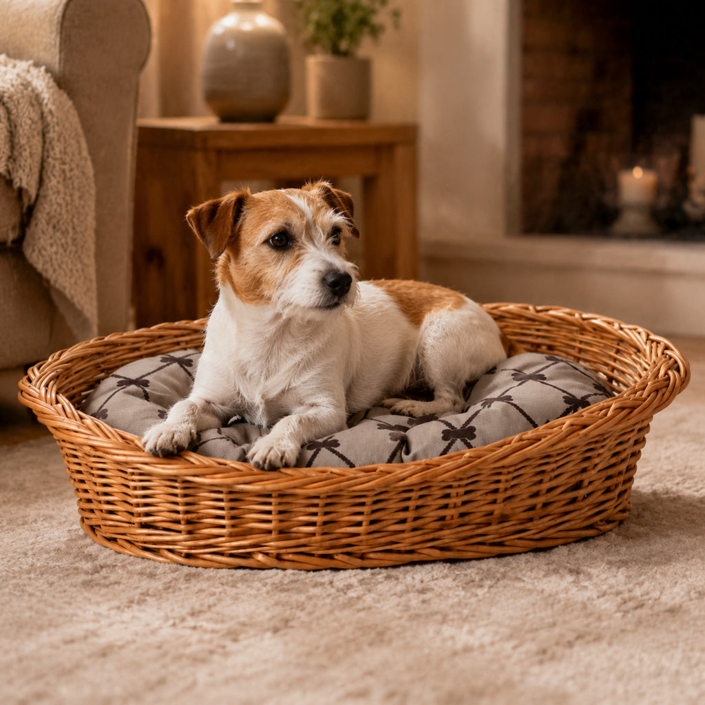 Enovia Hundebett aus Naturweide mit grauem Kissen – 70 × 54 cm – Elegante Wohnszene mit Haustier