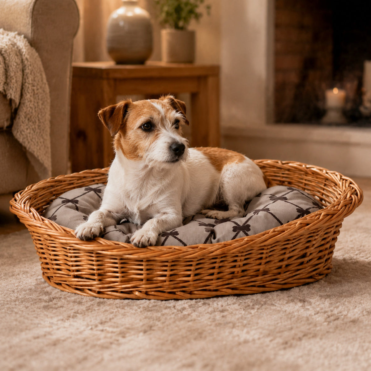Enovia Hundebett aus Naturweide mit grauem Kissen – 70 × 54 cm – Elegante Wohnszene mit Haustier