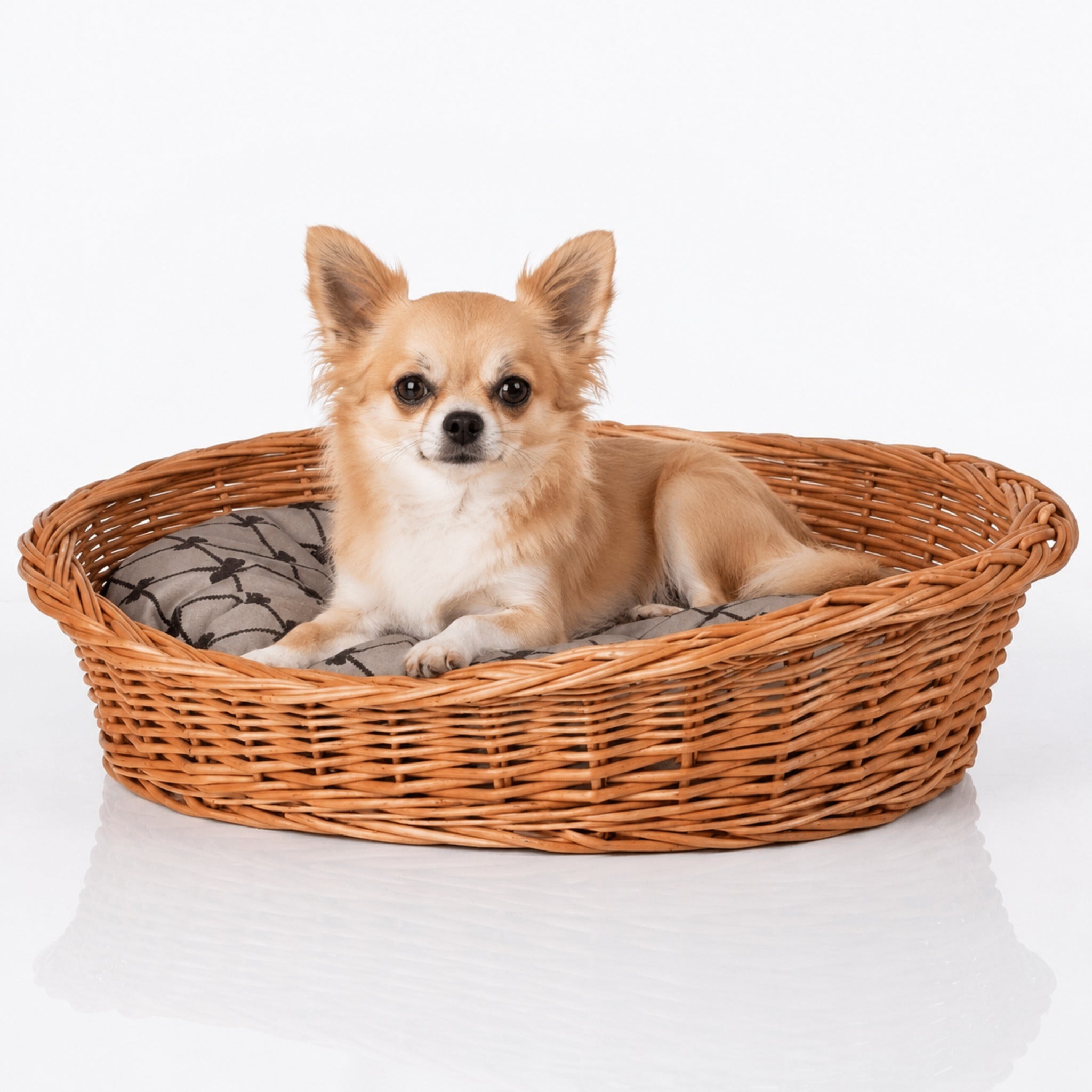 Enovia Hundebett aus Naturweide mit grauem Kissen – 75 × 57 cm – Premium Studioaufnahme auf reflektierendem Boden