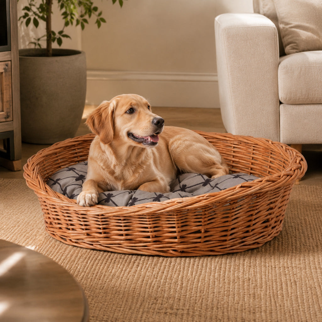Enovia Hundebett aus Naturweide mit grauem Kissen – 75 × 57 cm – Elegante Wohnszene mit Haustier