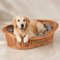 Enovia Hundebett aus Naturweide mit grauem Kissen – 80 × 60 cm – Premium Studioaufnahme auf reflektierendem Boden