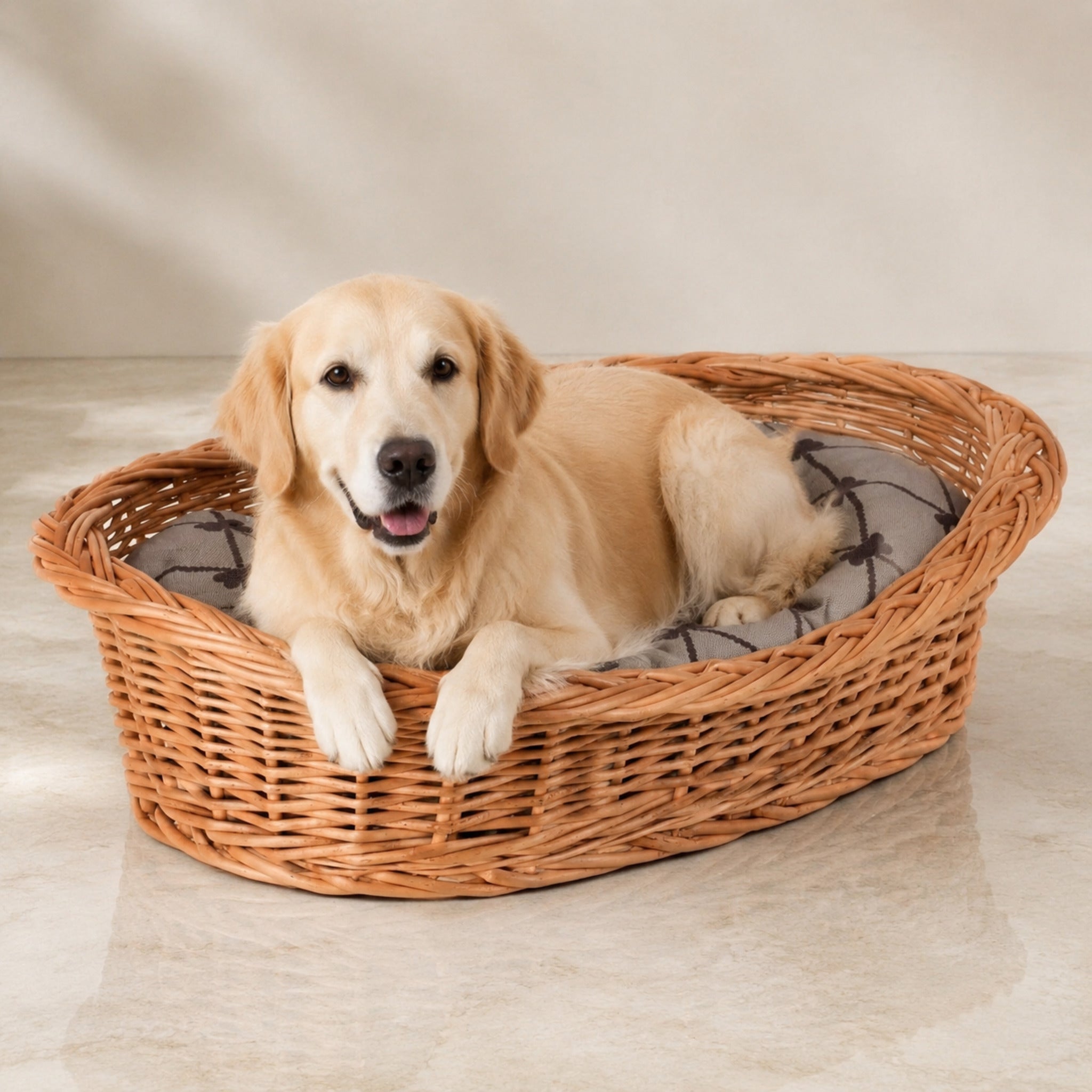 Enovia Hundebett aus Naturweide mit grauem Kissen – 80 × 60 cm – Premium Studioaufnahme auf reflektierendem Boden