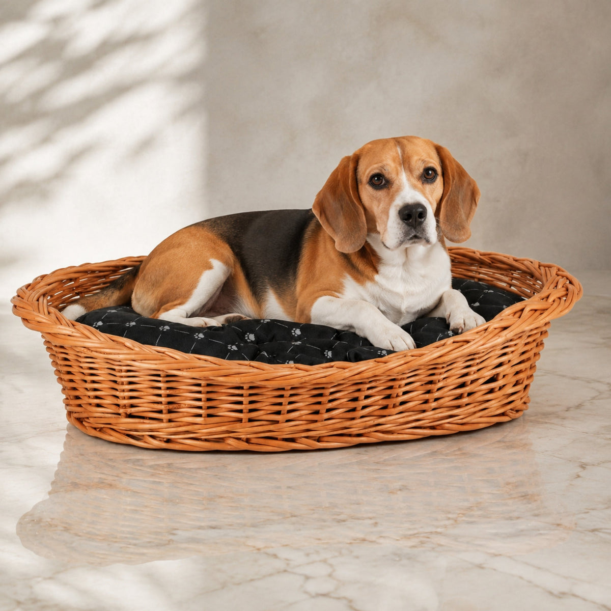 Enovia Hundebett aus Naturweide mit schwarzem Kissen – 60 × 43 cm – Premium Studioaufnahme auf reflektierendem Boden