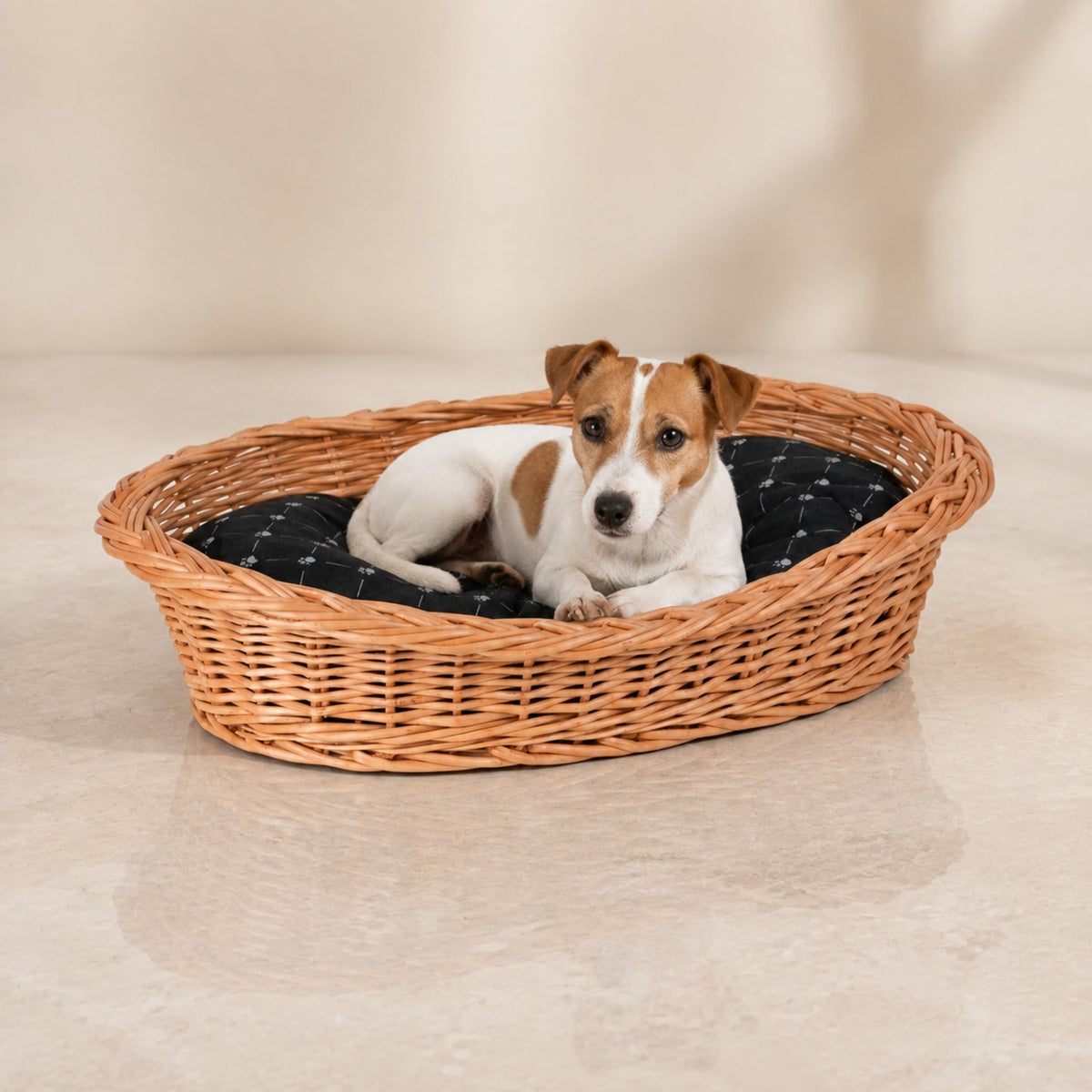 Enovia Hundebett aus Naturweide mit schwarzem Kissen – 65 × 46 cm – Premium Studioaufnahme auf reflektierendem Boden