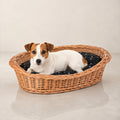 Enovia Hundebett aus Naturweide mit schwarzem Kissen – 70 × 54 cm – Premium Studioaufnahme auf reflektierendem Boden