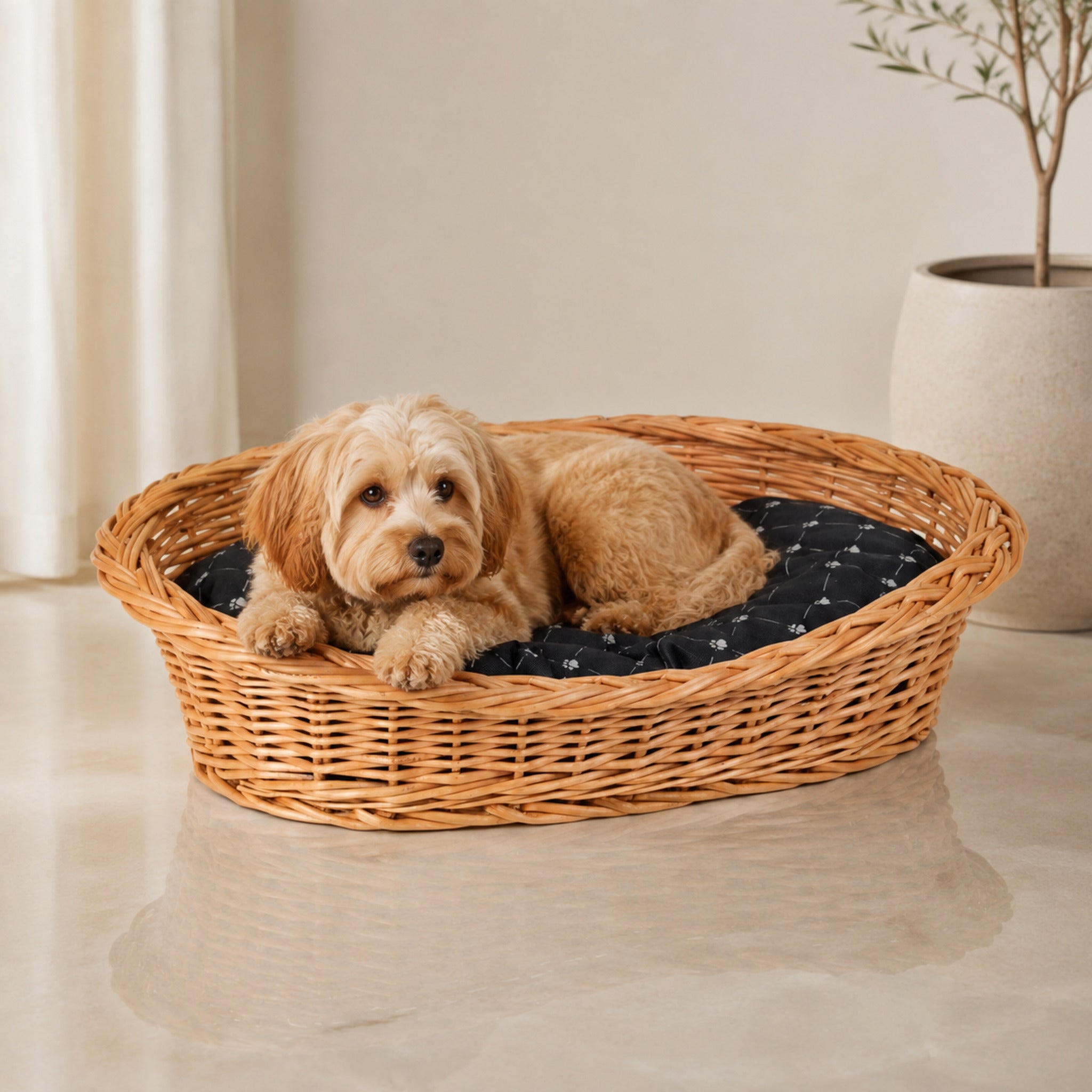 Enovia Hundebett aus Naturweide mit schwarzem Kissen – 75 × 57 cm – Premium Studioaufnahme auf reflektierendem Boden