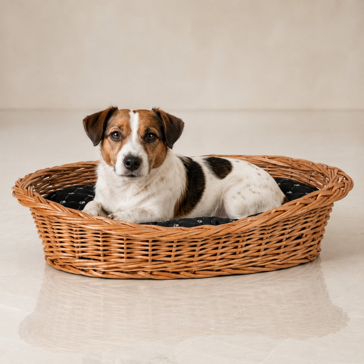 Enovia Hundebett aus Naturweide mit schwarzem Kissen – 80 × 60 cm – Premium Studioaufnahme auf reflektierendem Boden
