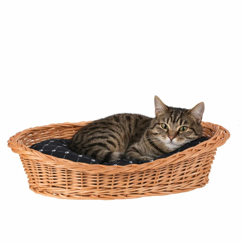 Enovia Natural Wicker Dog Bed With Black Cushion, 60x43 cm