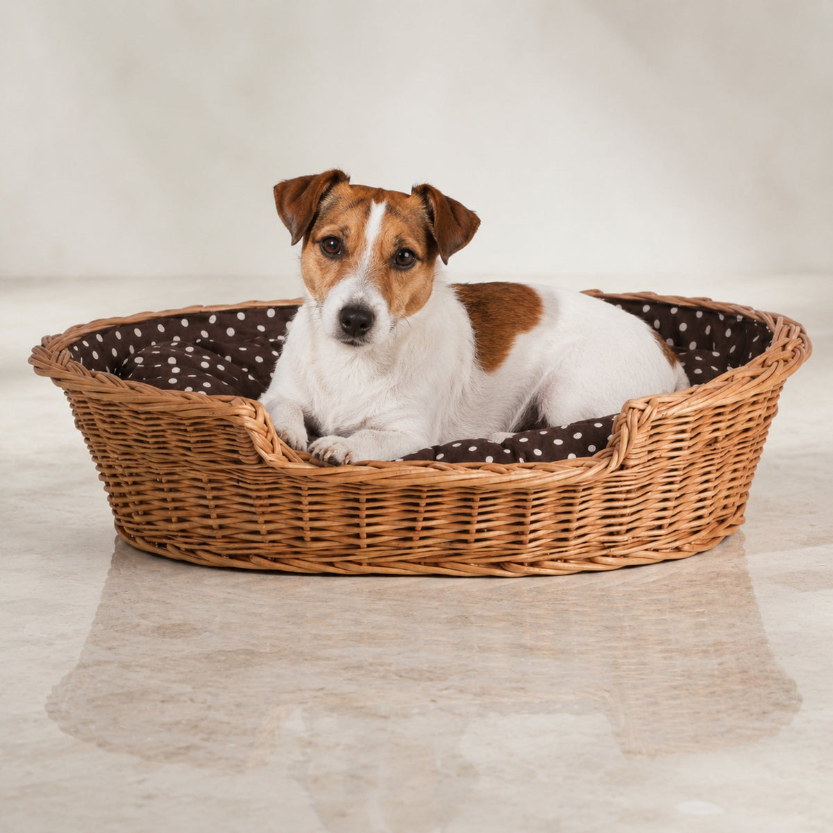 Esmira Hundebett aus Naturweide mit gepunktetem Kissen – 65 × 43 cm – Premium Studioaufnahme auf reflektierendem Boden