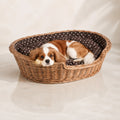 Esmira Hundebett aus Naturweide mit gepunktetem Kissen – 85 × 67 cm – Premium Studioaufnahme auf reflektierendem Boden