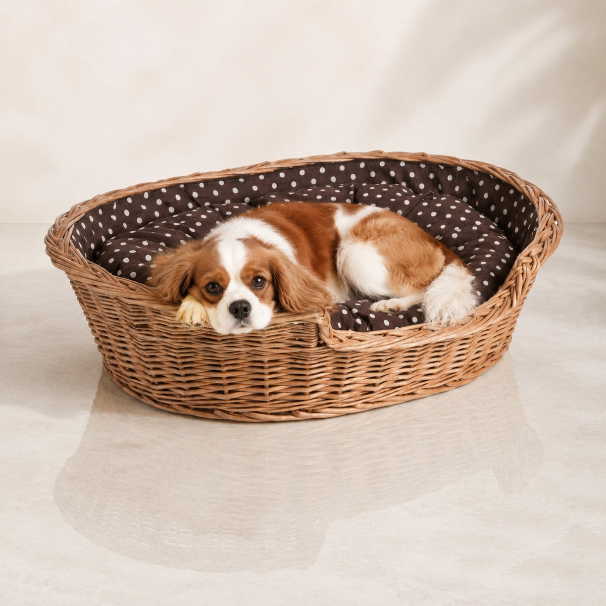 Esmira Hundebett aus Naturweide mit gepunktetem Kissen – 85 × 67 cm – Premium Studioaufnahme auf reflektierendem Boden