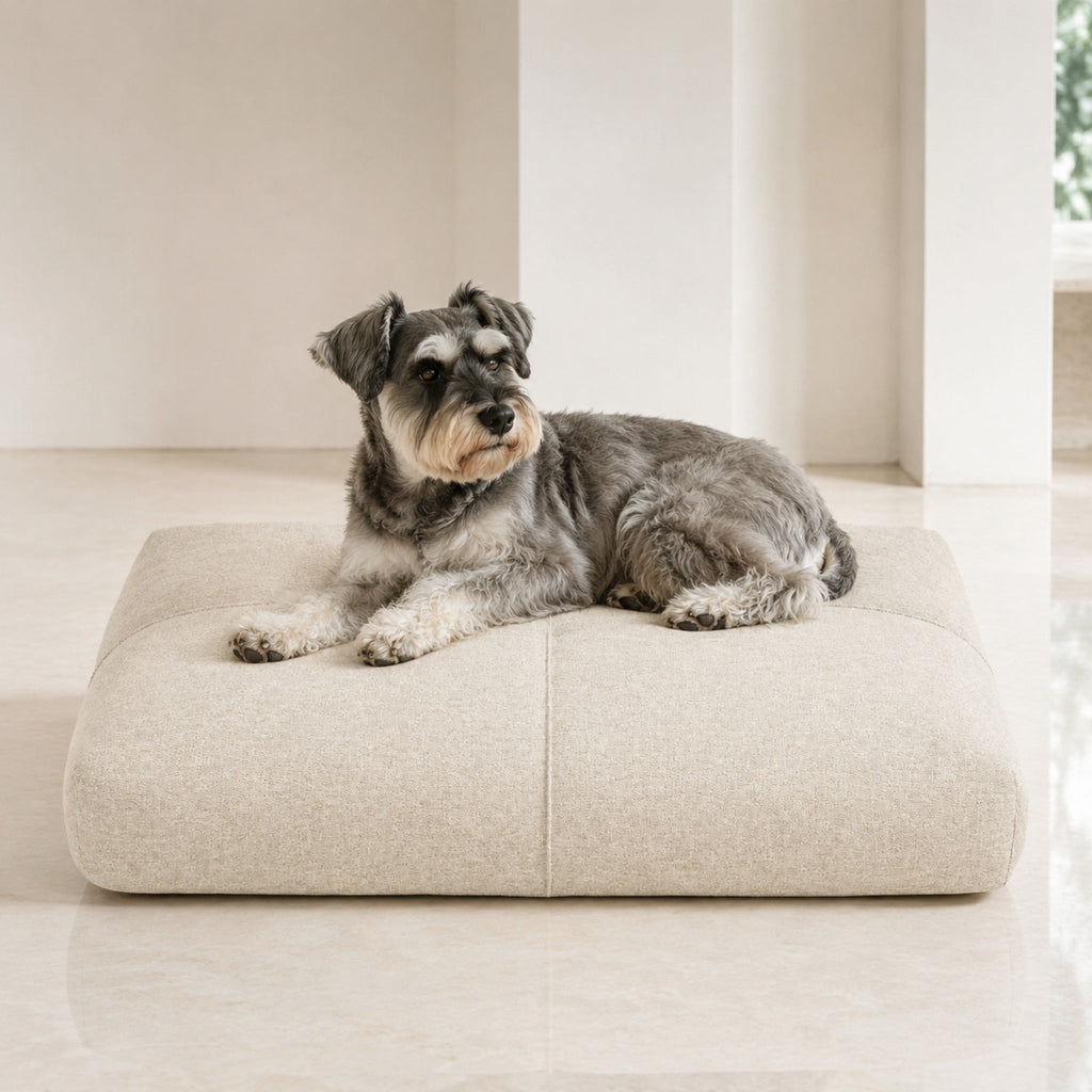 Finno Hundekissen in Beige mit Schnauzer im hellen Premium-Studio